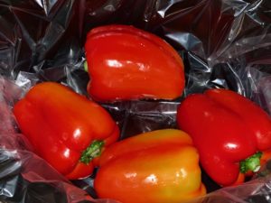 raw peppers in pot with slow cooker liner
