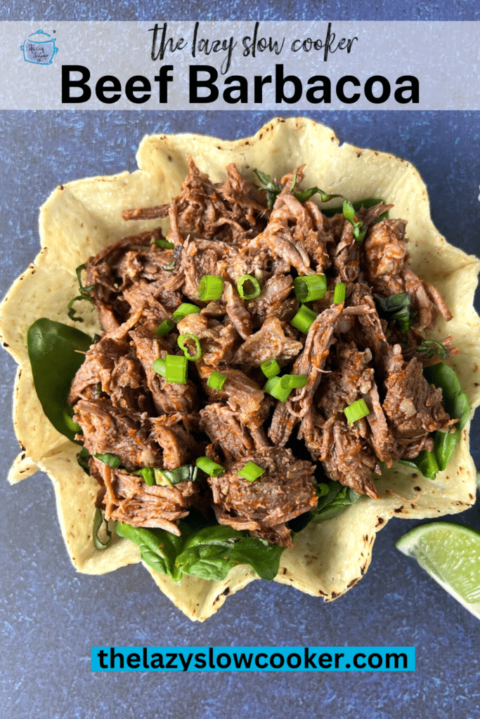 close up a of a taco bowl filled with shredded beef and topped with sliced green onion