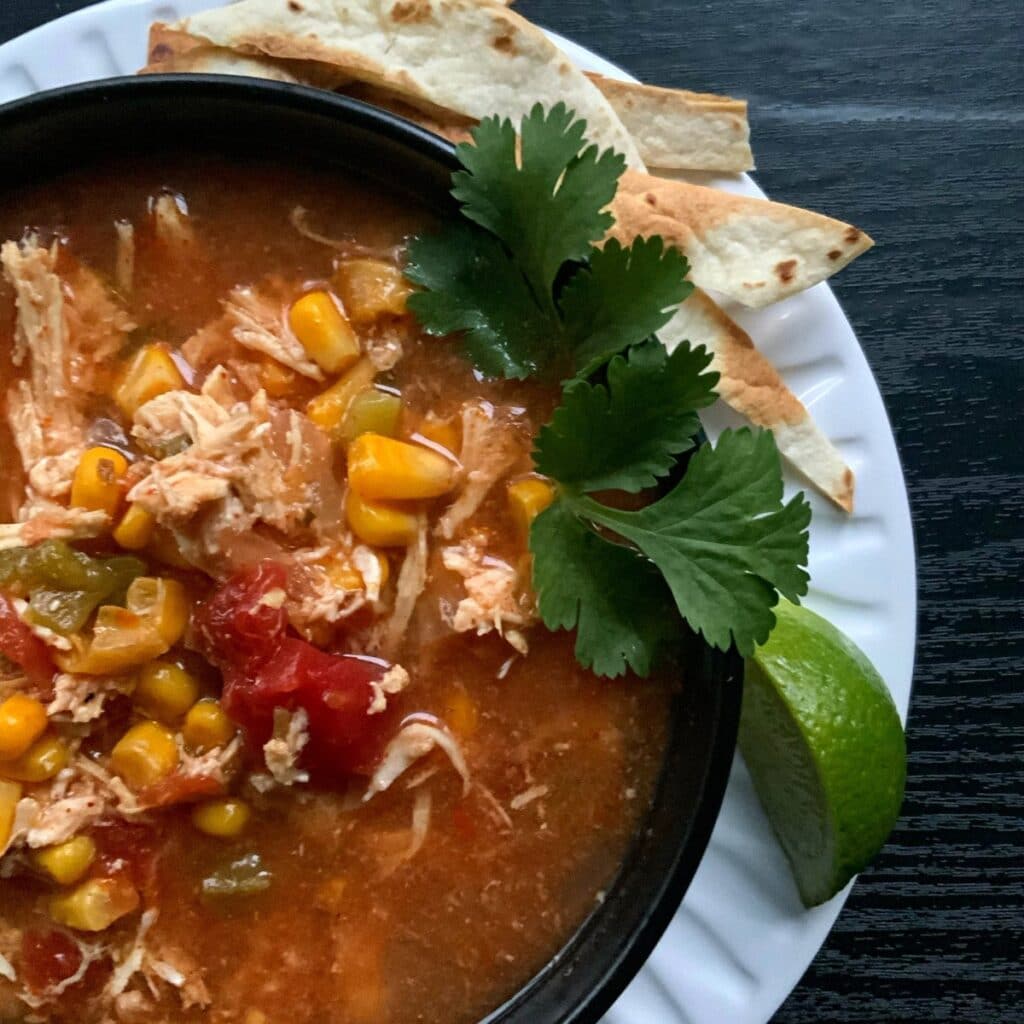 https://thelazyslowcooker.com/wp-content/uploads/2020/01/chicken-tortilla-soup-hero-jpg-1024x1024.jpg