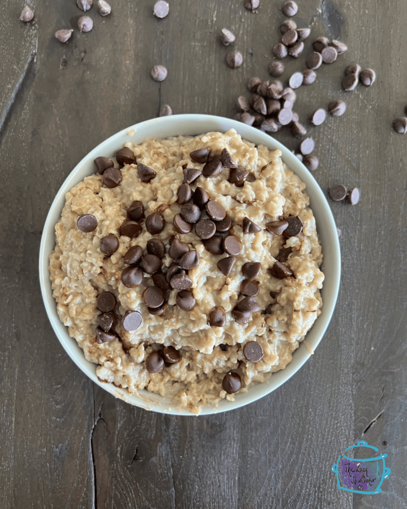 a round bowl filled with slow cooked oats sprinkled with chocolate chips