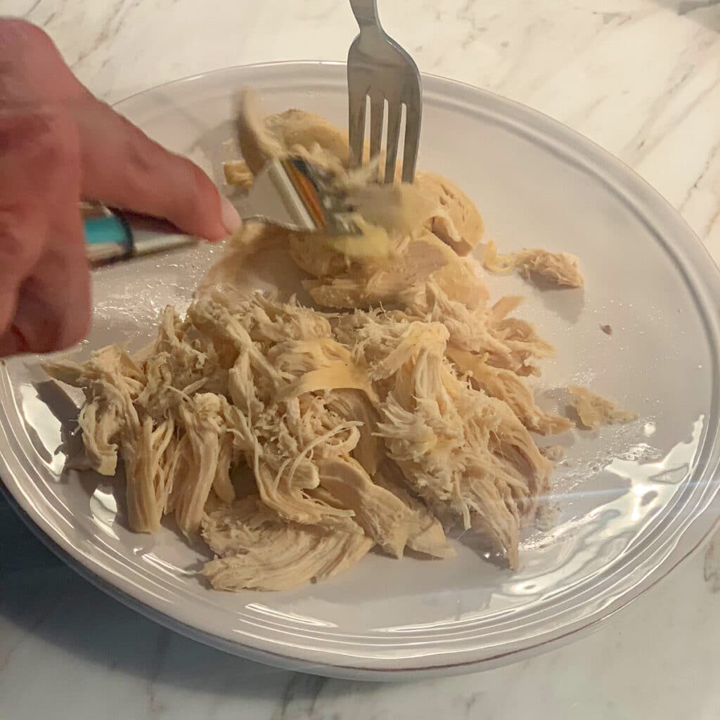Chicken breast being shredded with two forks