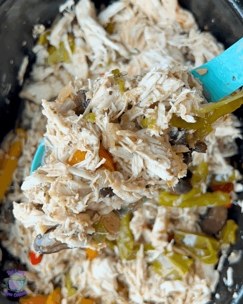 Shredded chicken, spiced and veggies in slow cooker after cooking