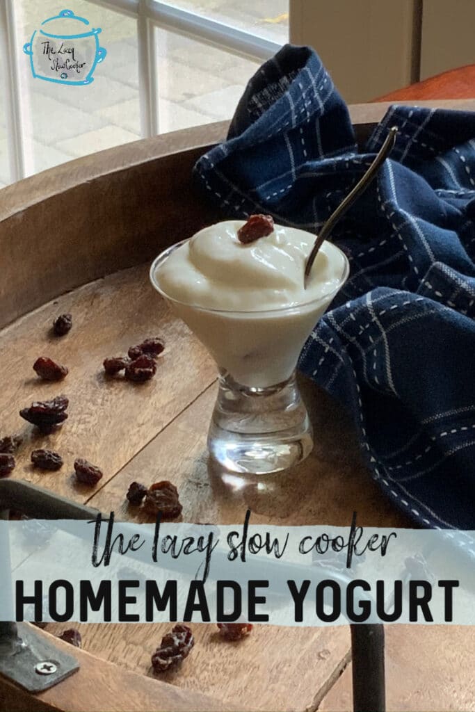 Slow cooker yogurt in a parfait glass topped with a raisin