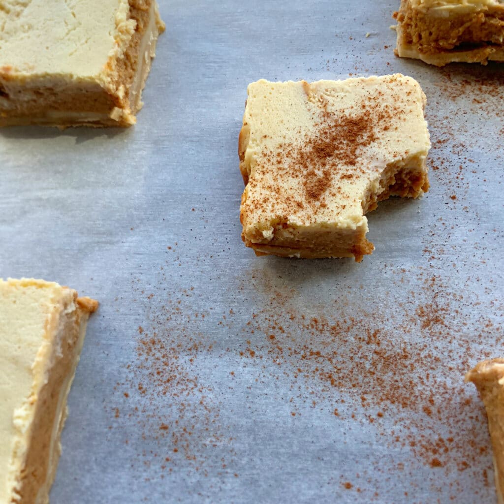 cheesecake bars sprinkled with cinnamon, cut in squares. Middle one has a bite takn out of it.