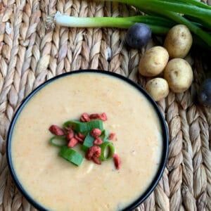 looking down on an image of potato soup in a round bowl with green onion and imitation bacon garnish