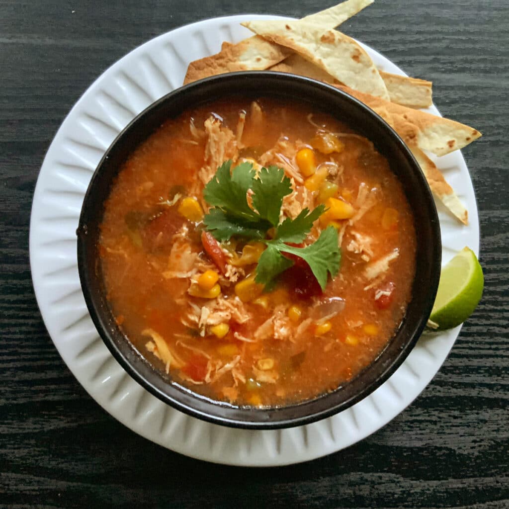 Looking down on a round bowl of soup with two sprigs of cilantro in the middle.