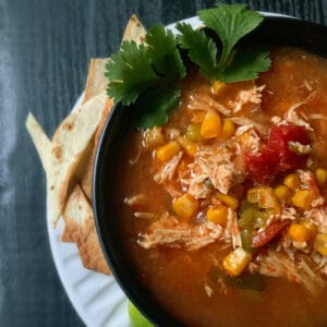 A top view of the left side of a bowl of soup. Two cilantro sprigs are off to the side and some toasted tortilla chips are on the white plate