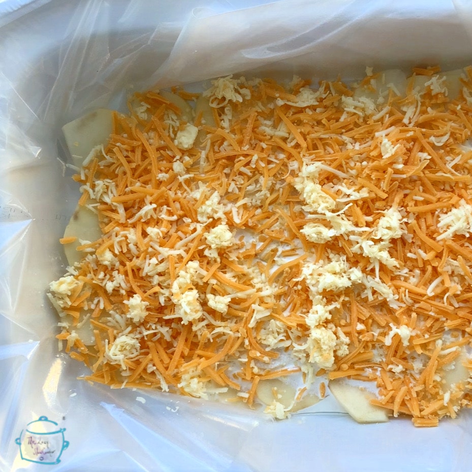 Slow cooker cheesy scalloped potato ingredients all assembled and ready to cook.  A layer of two different kinds of shredded cheese is on top.