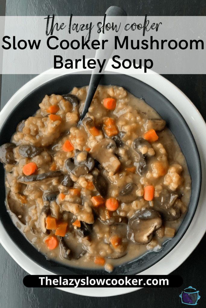 close up of a bowl of mushroom barley soup