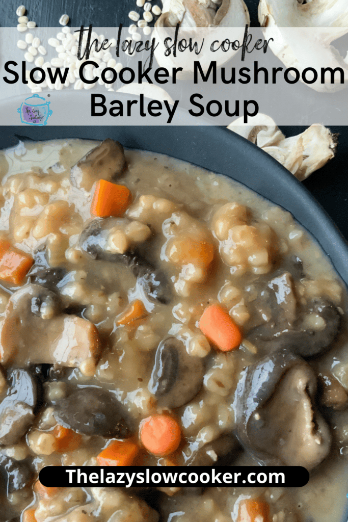 close up of a bowl of mushroom barley soup