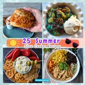 four different photos of summer slow cooker recipes, dirty martini dip, maple lime chicken bowl, blueberry cobbler and chicken parmesan sloppy joe