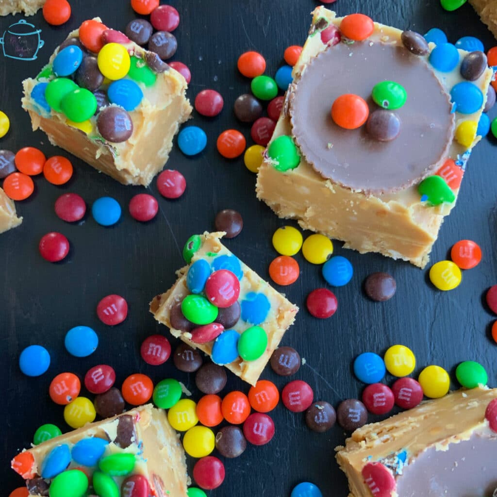 Different sized fudge squares topped with chocolate candies