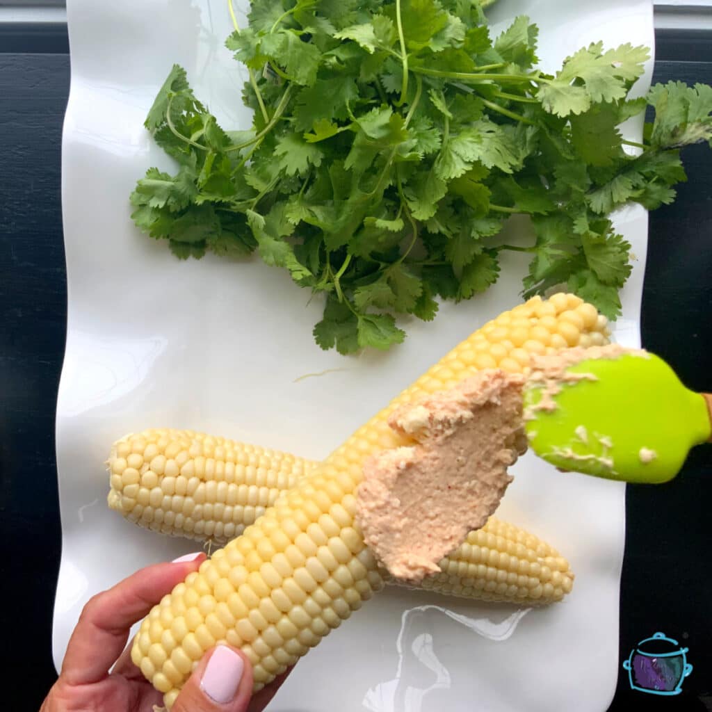 An ear of Mexican street corn being dressed