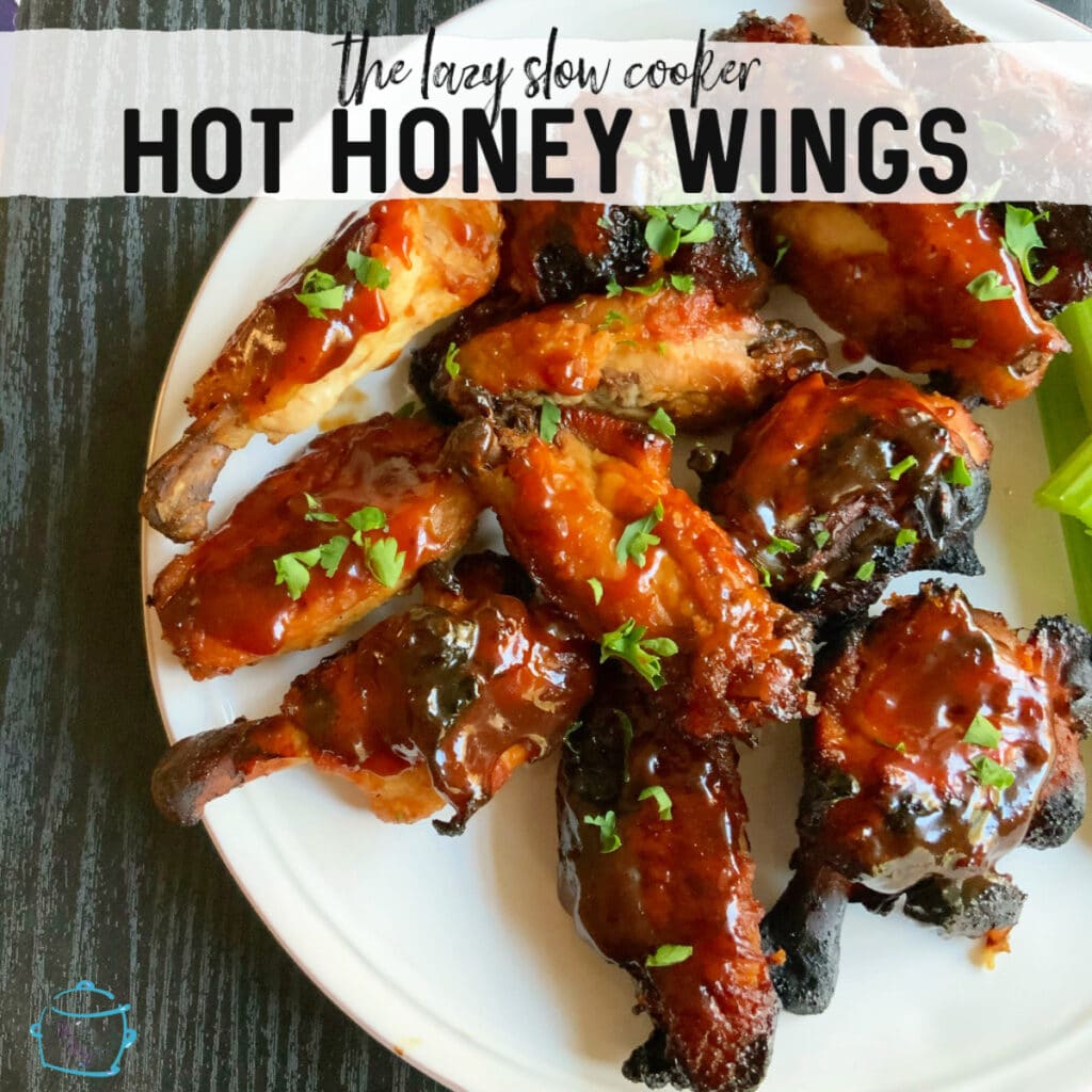 a plate full of deliciously sticky looking chicken wings