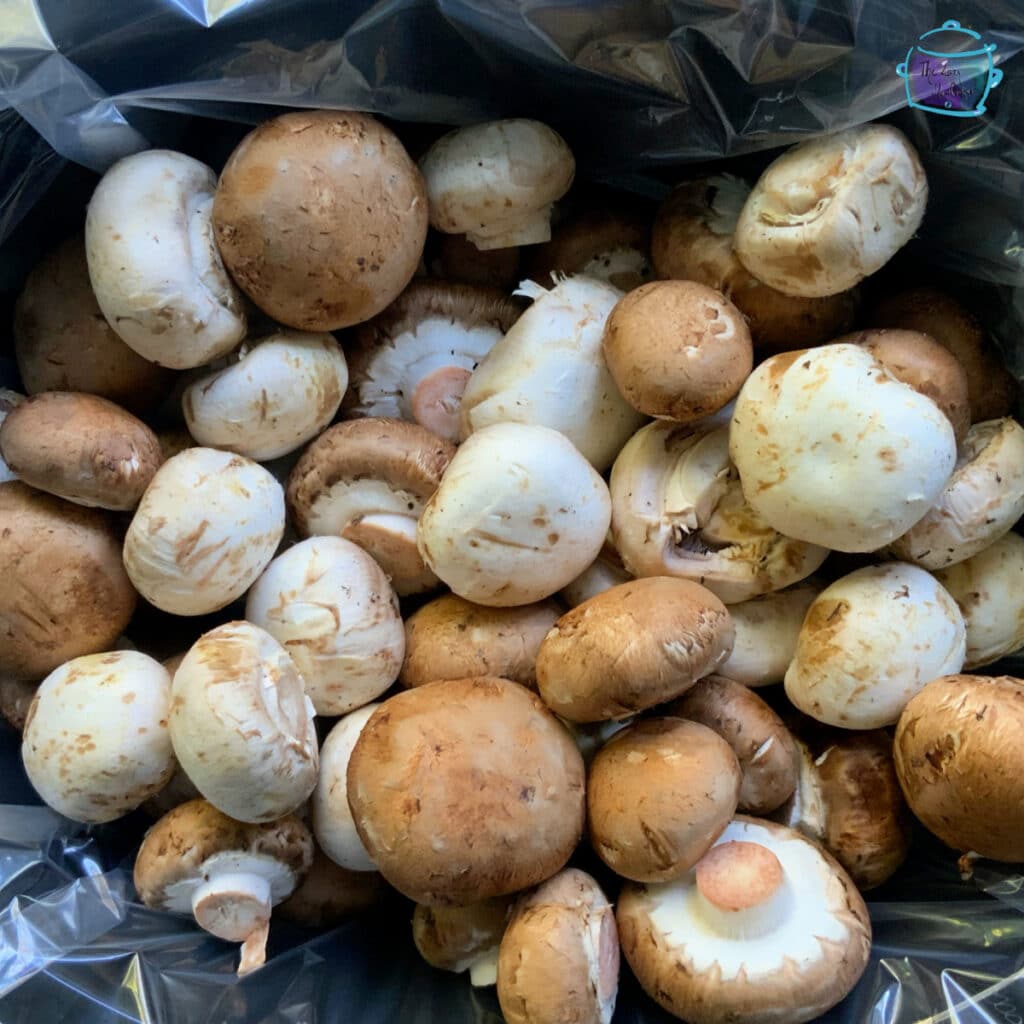 Mushrooms in slow cooker