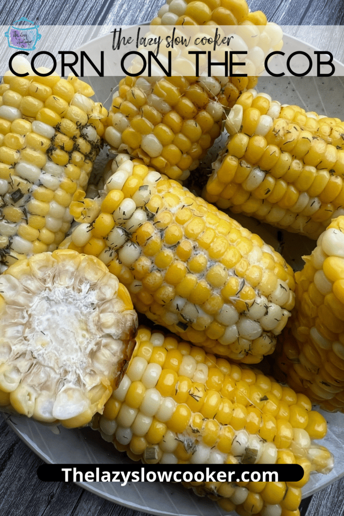 corn on the cob pin with spices