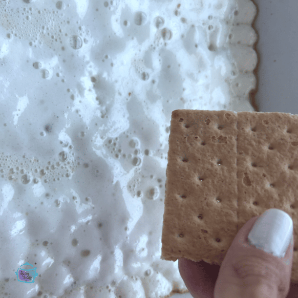 Slow Cooker Indoor S'Mores Dip The Lazy Slow Cooker