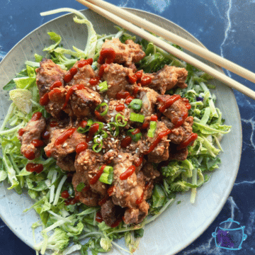 Lazy Slow Cooker Bang Bang Chicken - The Lazy Slow Cooker