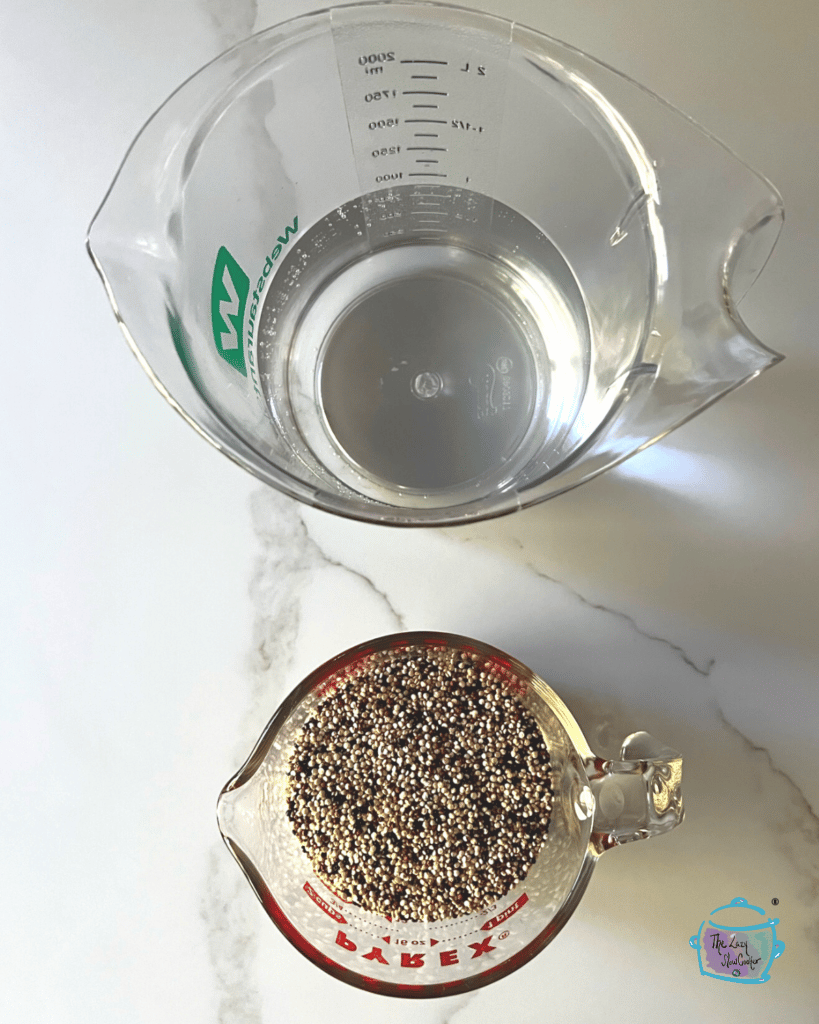uncooked quinoa and water on a counter