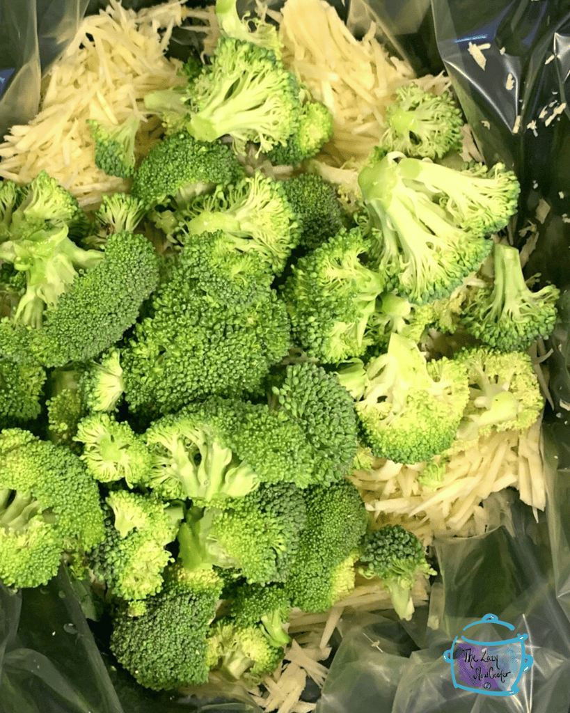 broccoli cheddar soup ingredients in crockpot before cooking