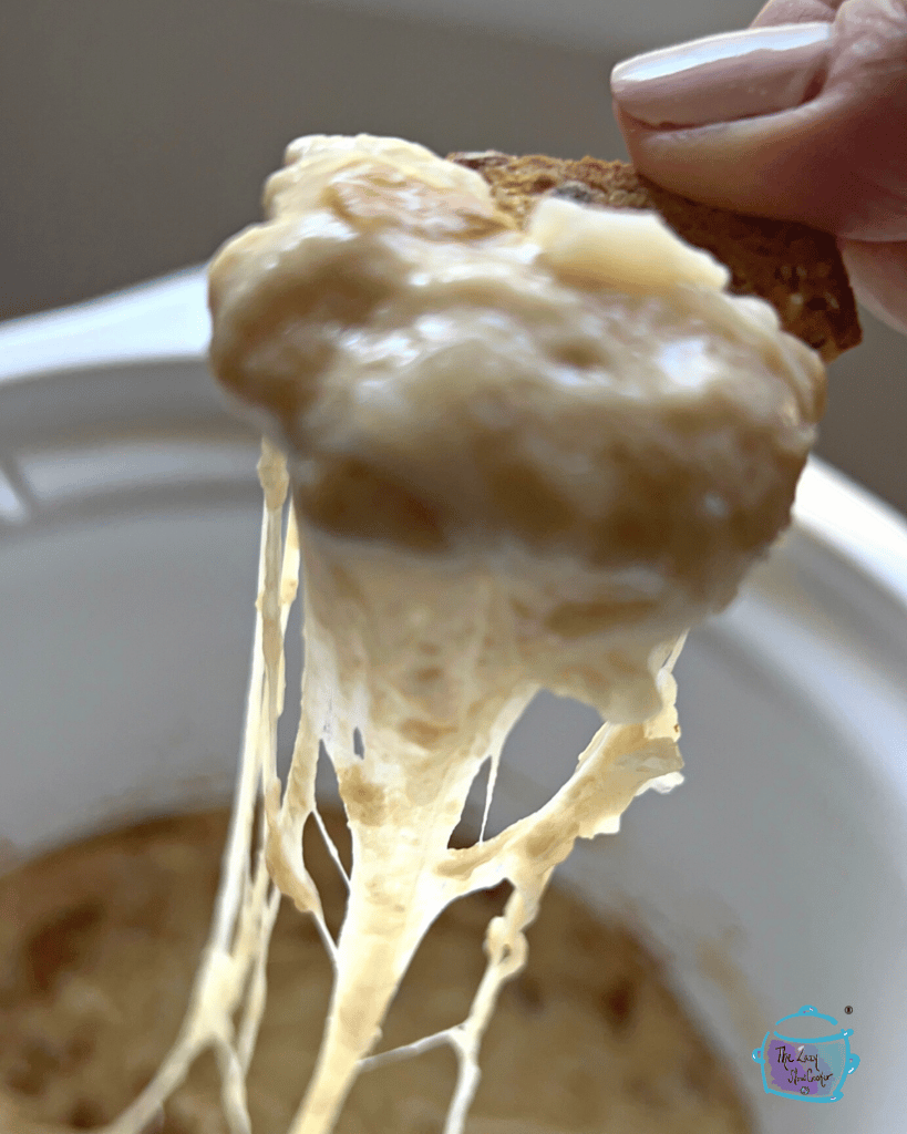 gooey cheese and caramelized onion on a cracker that was just dipped into a slow cooker