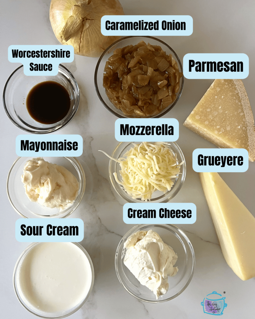 All slow cooker cheese and caramelized onion dip ingredients on a table with lables