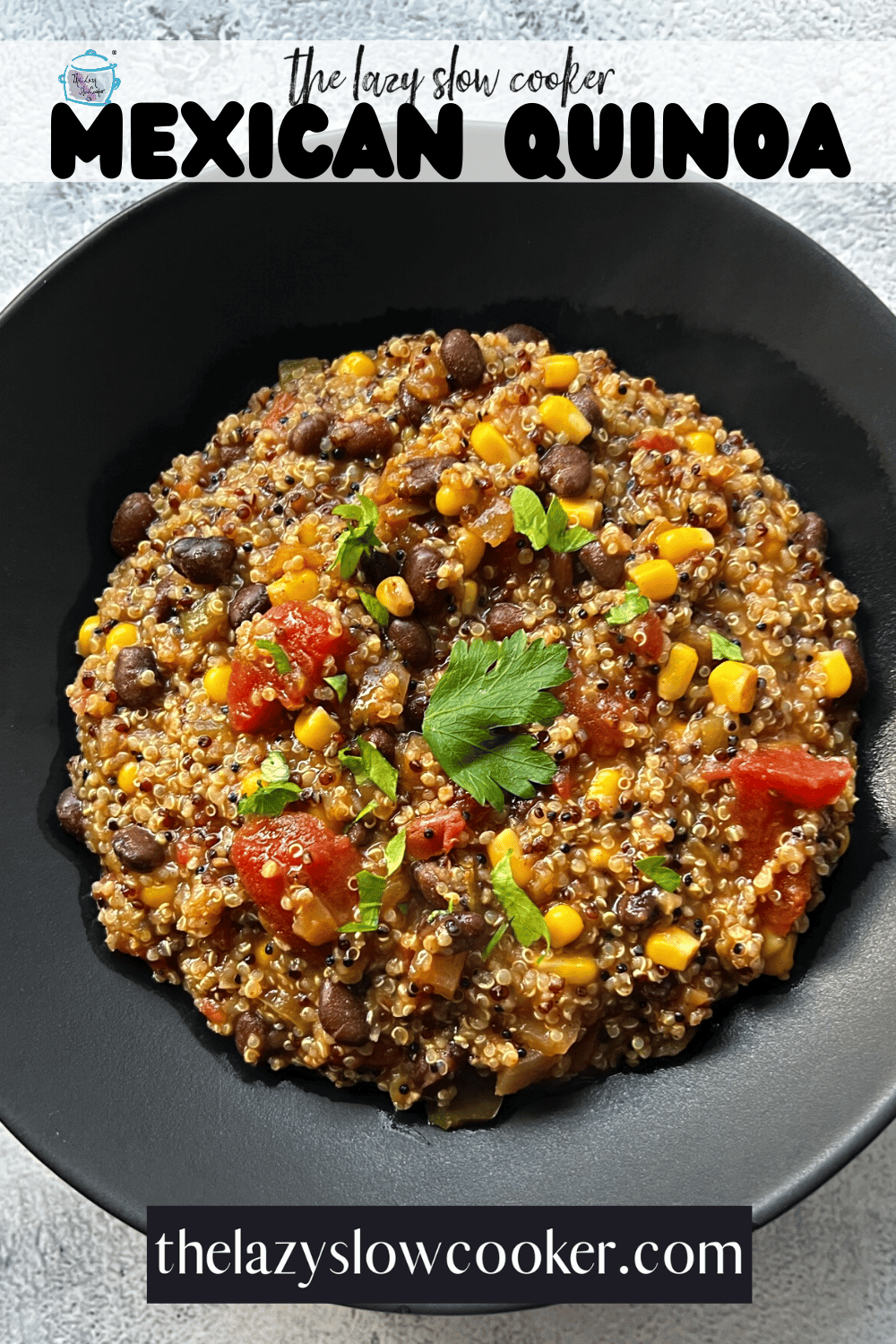 Slow Cooker Mexican Casserole with Quinoa - The Lazy Slow Cooker