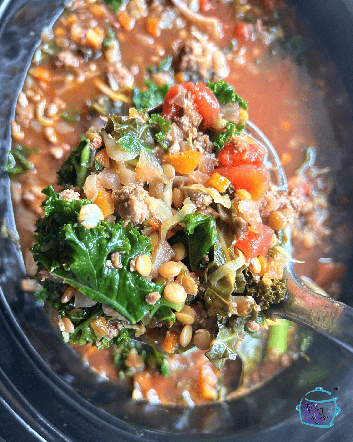 Slow Cooker Turkey Lentil Soup The Lazy Slow Cooker