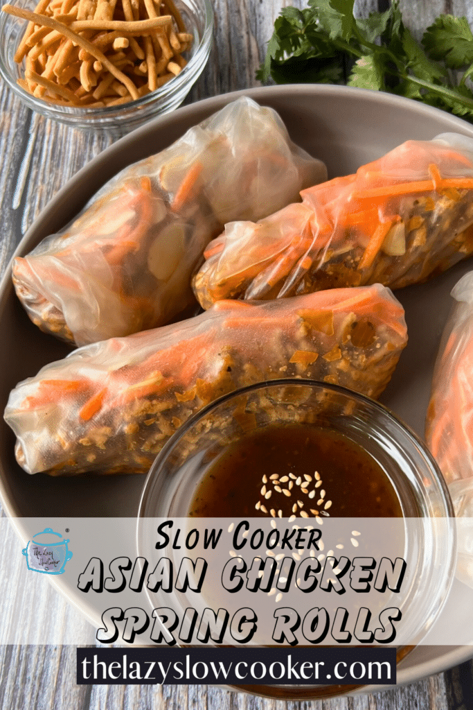 Slow Cooked Asian chicken spring rolls on a plate with dipping sauce