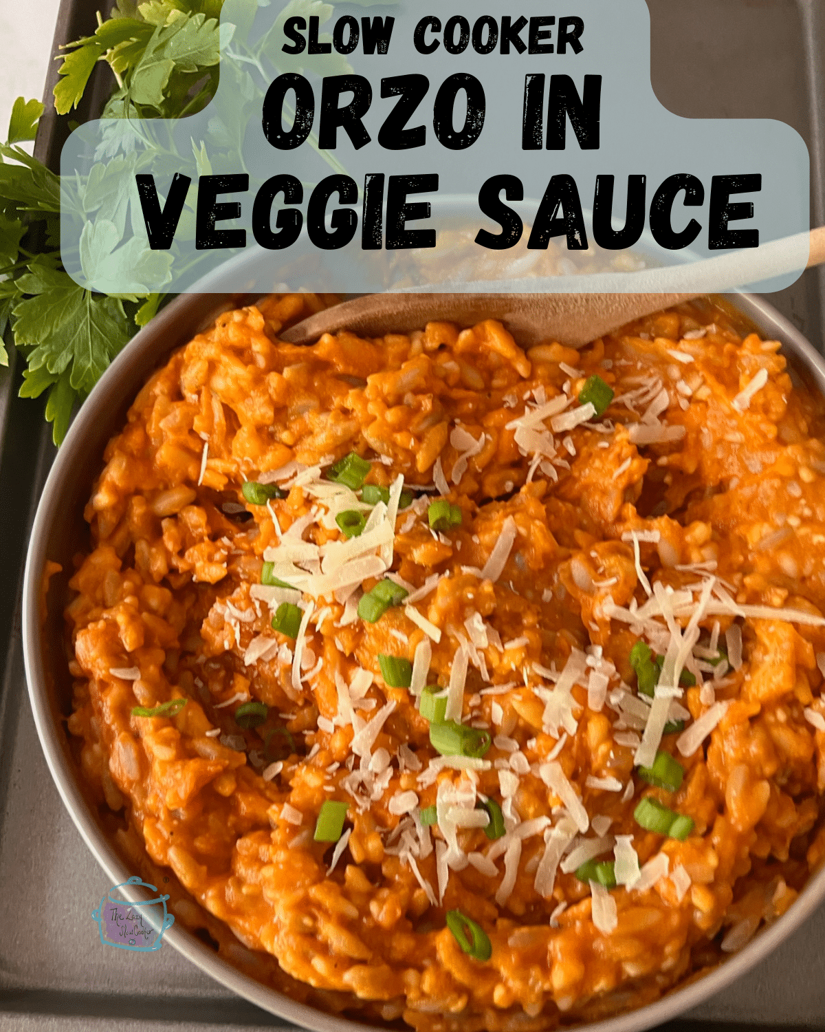 Slow Cooker Orzo In Vegetable Sauce The Lazy Slow Cooker