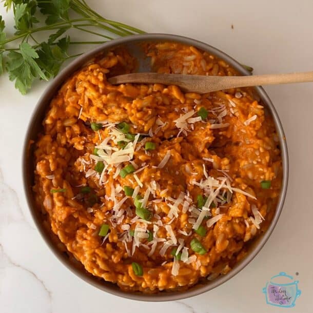 Slow Cooker Orzo In Vegetable Sauce The Lazy Slow Cooker