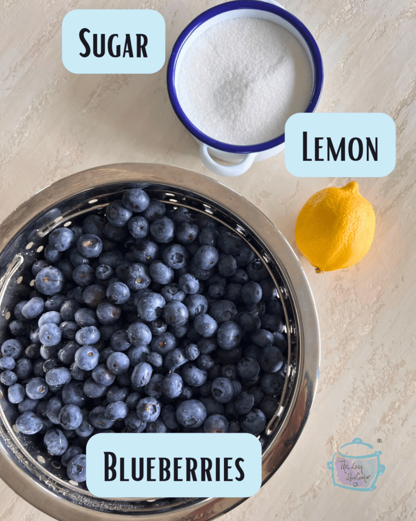 slow cooker blueberry toppings ingredients with labels