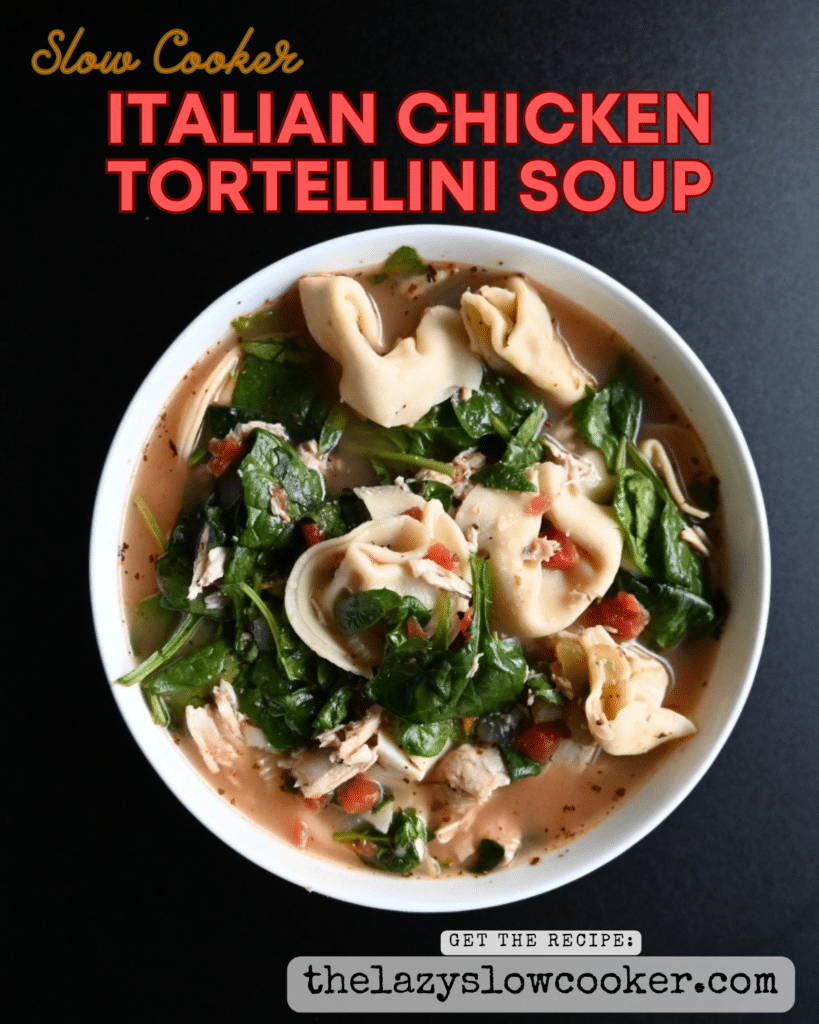 A close picture of chicken tortellini and spinach soup