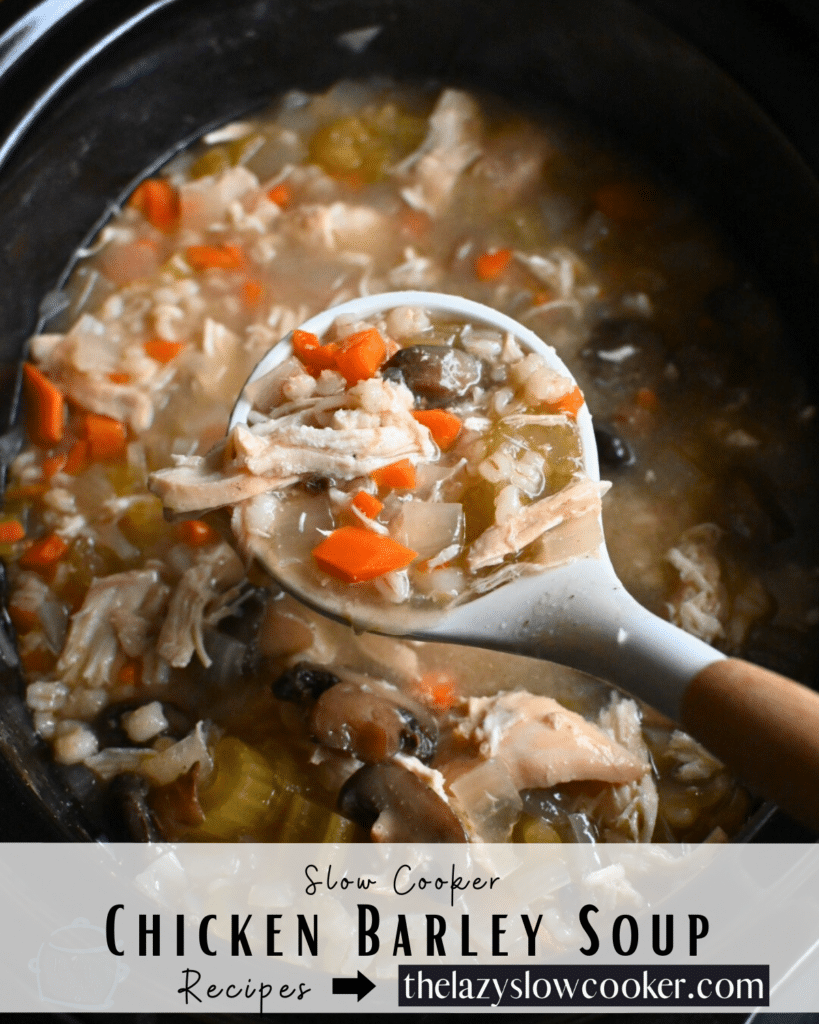 chicken and barley soup held on a white serving spoon over a slow cooker