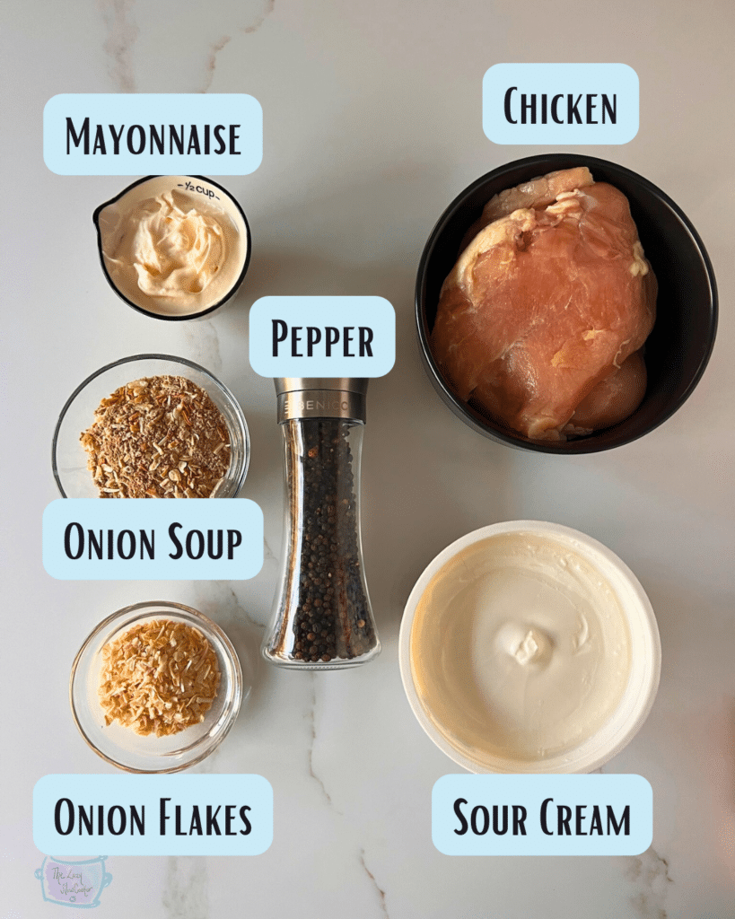 Slow cooker French onion dip chicken ingredients with labels