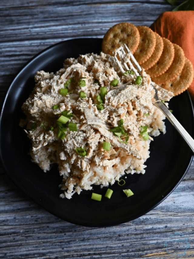 Slow Cooker Creamy French Onion Dip Chicken