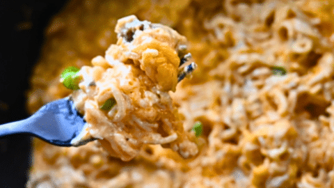 Slow Cooker Buffalo Chicken Ramen Meal Recipe