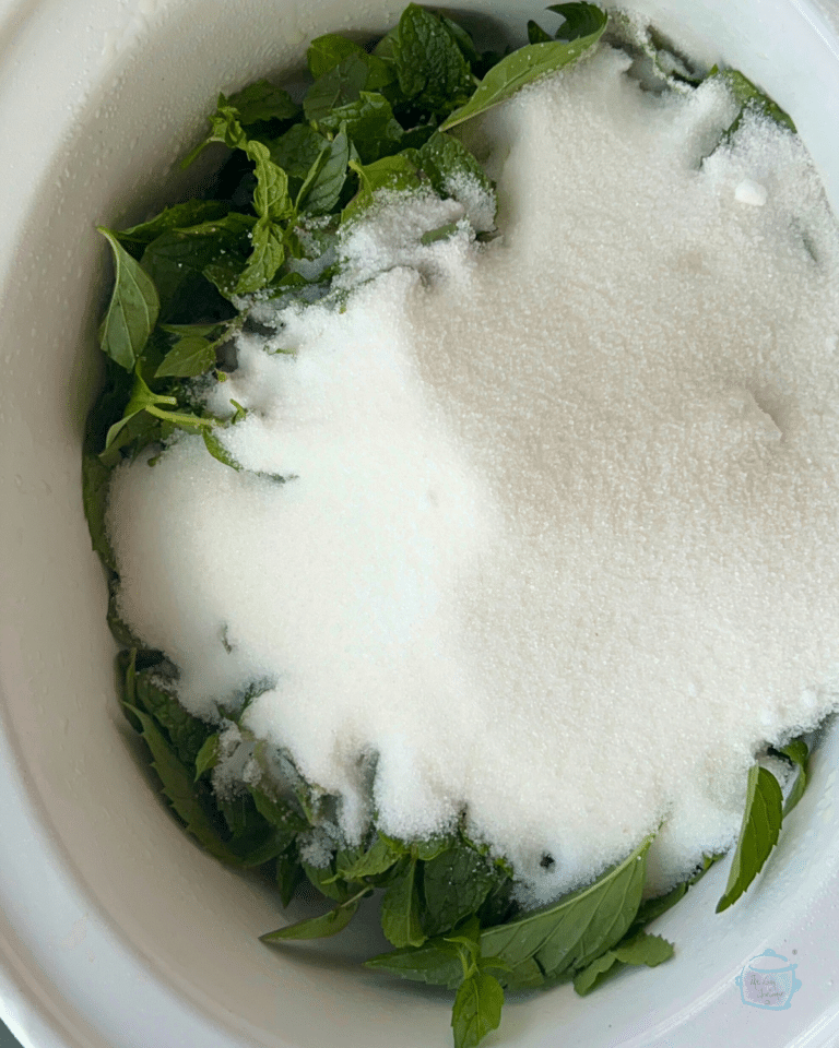 Slow Mints Slow Cooker Mint Simple Syrup - The Lazy Slow Cooker