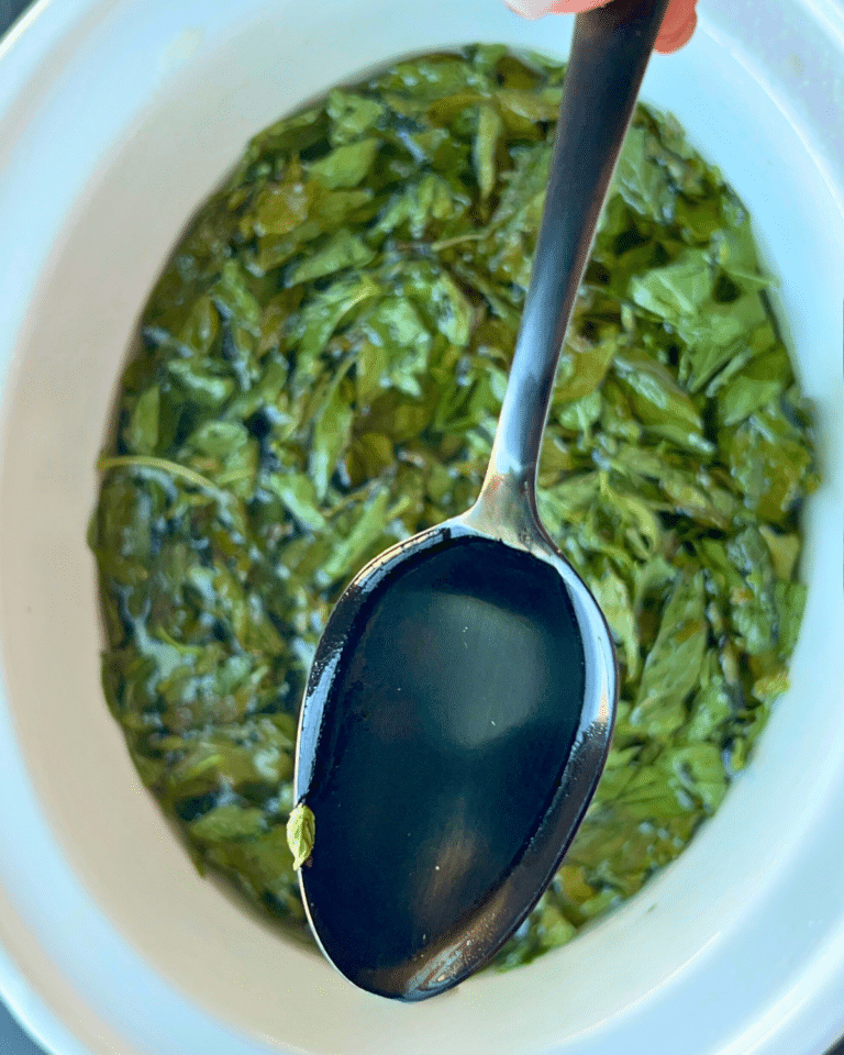 Slow Mints Slow Cooker Mint Simple Syrup - The Lazy Slow Cooker