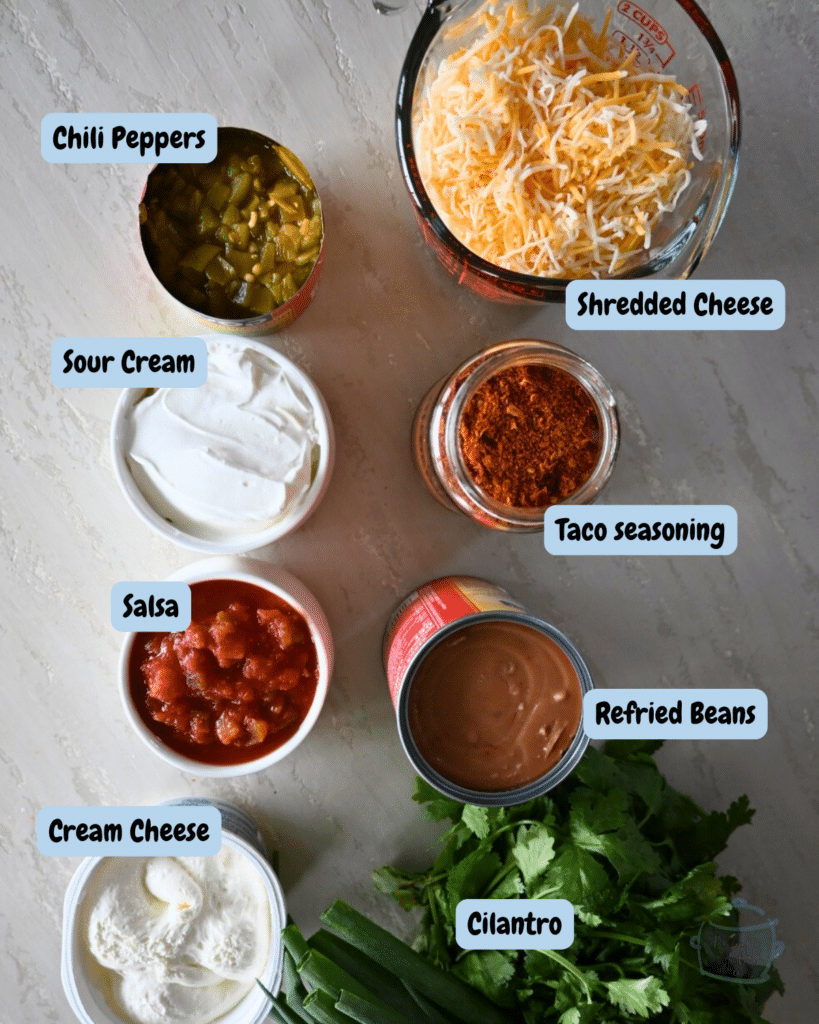 Slow Cooker Texas trash dip ingredients with labels