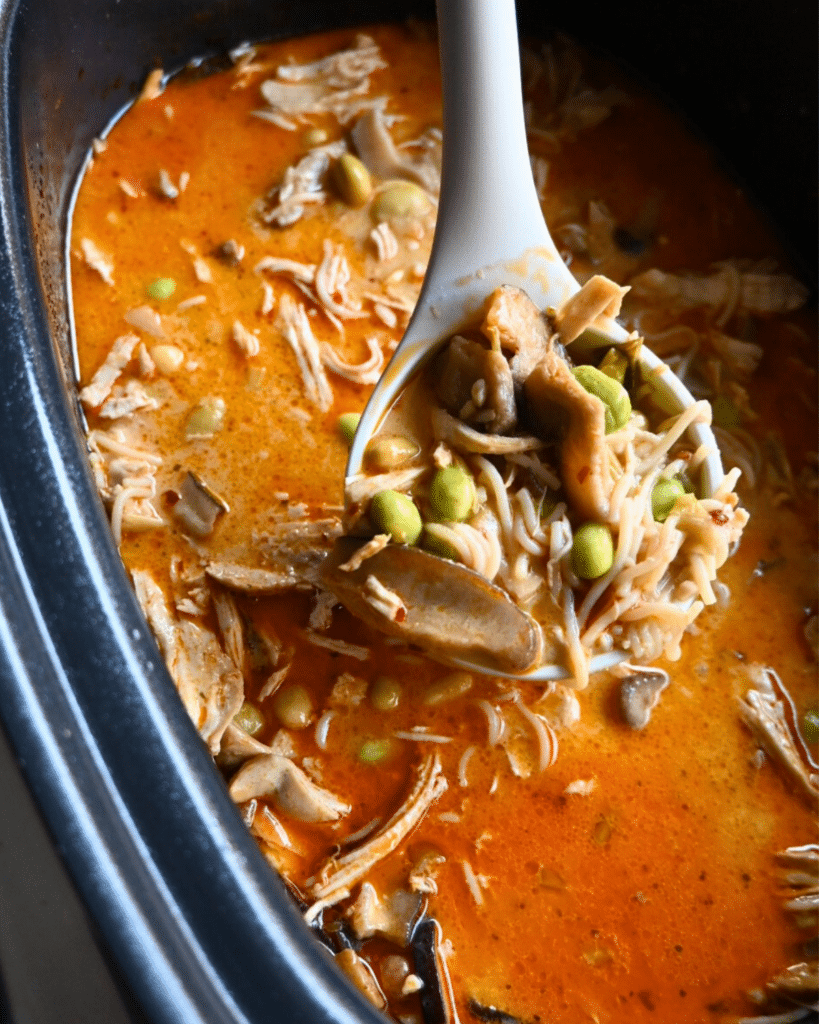 curry coconut chicken ramen on a ladle over a slow cooker full of the same.