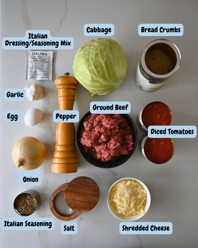 slow cooker cabbage and meatballs ingredients with lables