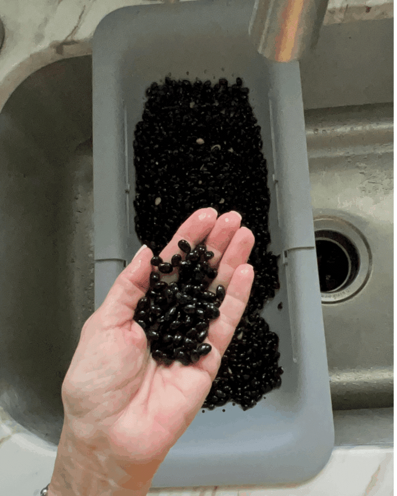 rinsed beans held in a hand over a sink.