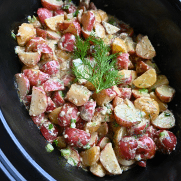 warm potato salad in crock pot after cooking topped with a fresh dill sprig