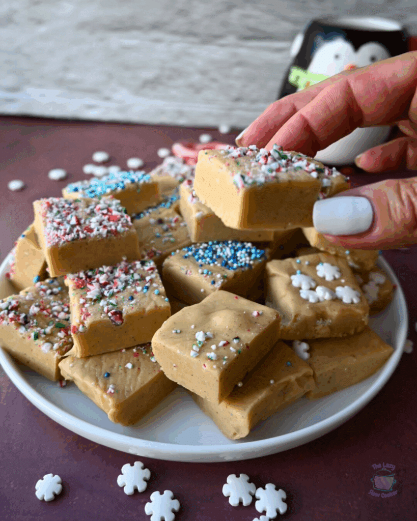 gingerbread fudge square on a plate with one being held by a hand.