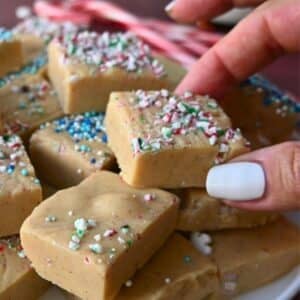 gingerbread fudge square on a plate with one being held by a hand.