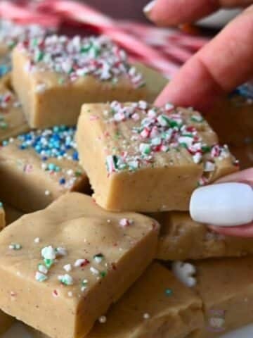gingerbread fudge square on a plate with one being held by a hand.