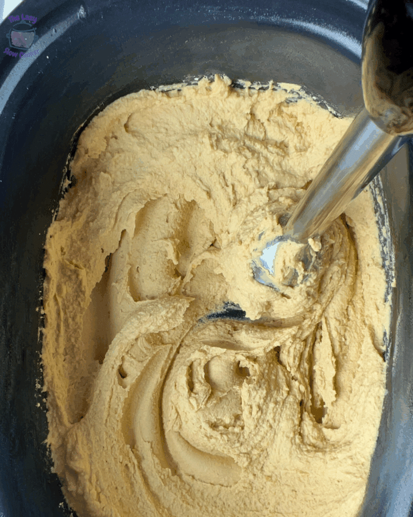 immersion blender blending chickpea for crockpot hummus recipe