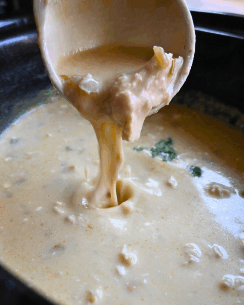 A close-up of a creamy soup being ladled, with chunks of chicken and cheese visible in the thick, yellowish broth. Some herbs can be seen in the background of the soup.