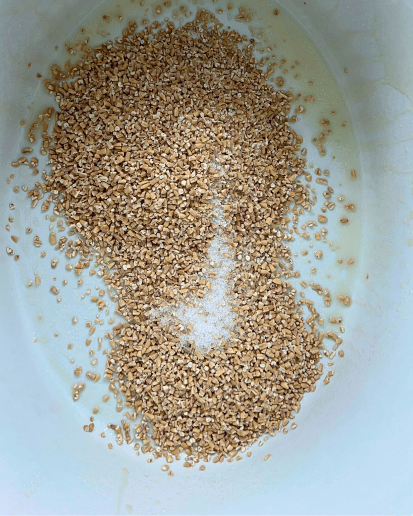 steel cut oats in the bottom of a greased white slow cooker